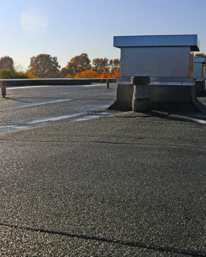 xr:d:DAFpX8yw4vo:67,j:5871965966115426393,t:23072815