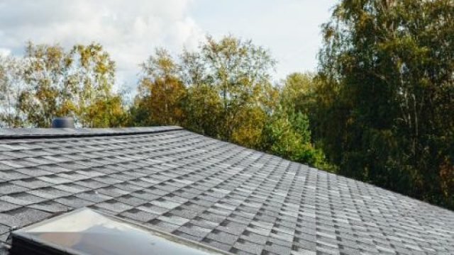 xr:d:DAFpX8yw4vo:111,j:8808313362244775066,t:23080121