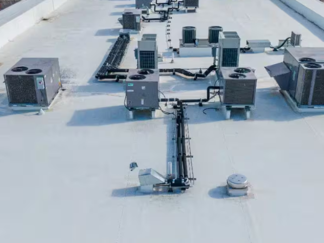 Untitled design (26)